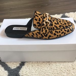 Brand New Steve Madden Rylie Leopard mules